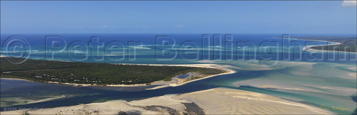 Peter Bellingham Photography Kooringal - Moreton Island - QLD (PBH4 00 19160)